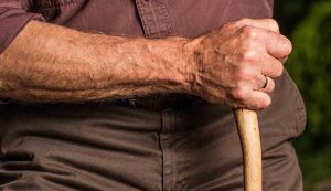 Pensionato