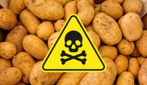 Patate