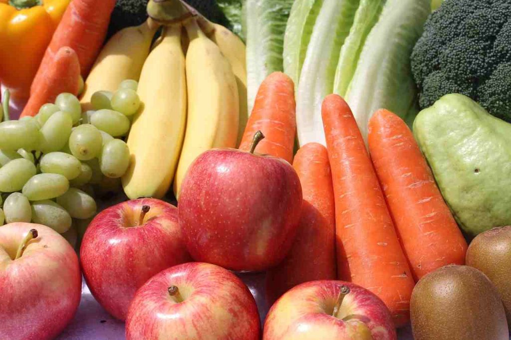Settore agroalimentare in Italia: un’analisi strategica alla luce dell’andamento nel 2024