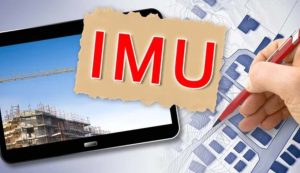 IMU